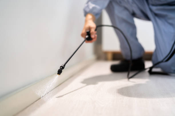 Bed Bug Pre-Treatment Preparation Assessment in Clarksdale