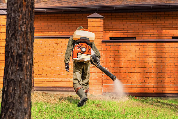Bed Bug Clearance Verification and Documentation in Clarksdale